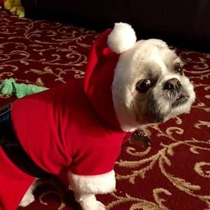 Meet your Posher, Elizabeth